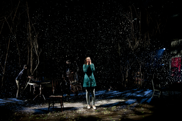 Yearning. The Seagull de Anton Tchékhov