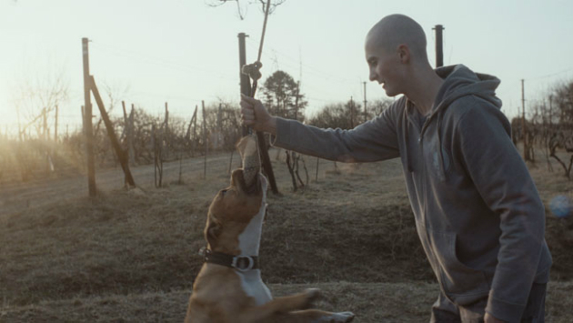Dans les entrailles de la louve. 43e Festival du nouveau cinéma