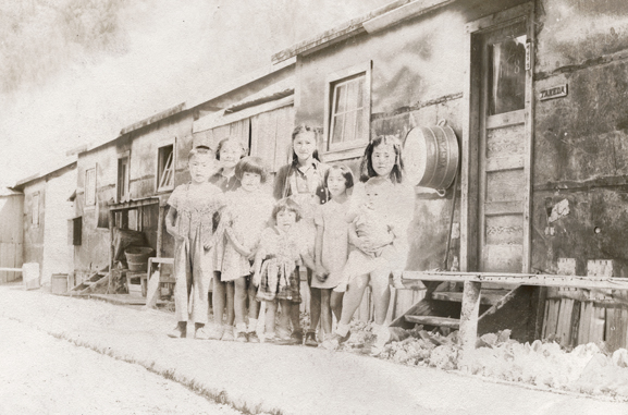 La transmission d’une mémoire. The Tashme Project: The Living Archives