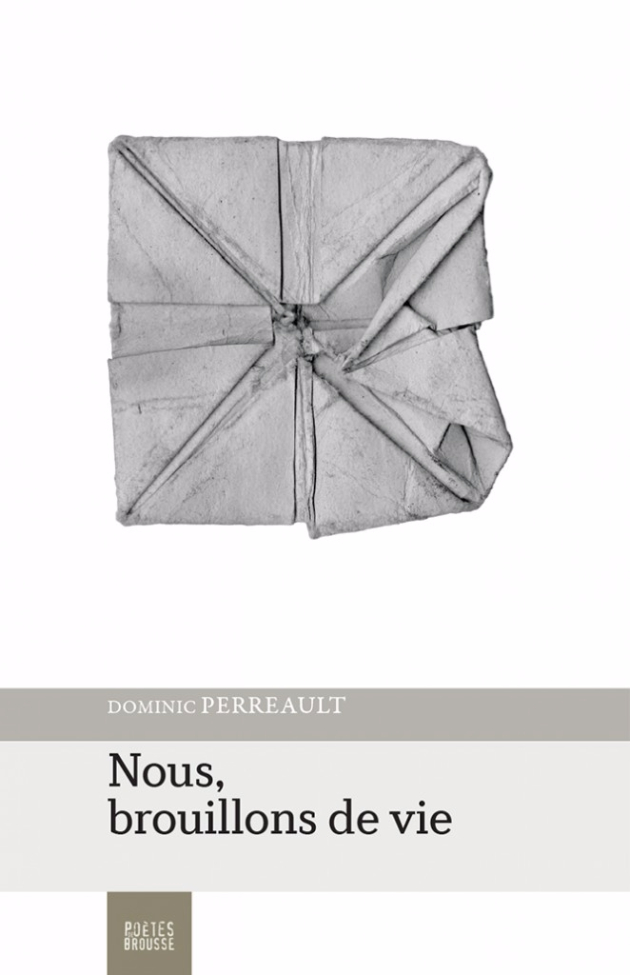 Écriture du vertige ou poésie de la dérive. Lecture de  Nous, brouillons de vie de Dominic Perreault