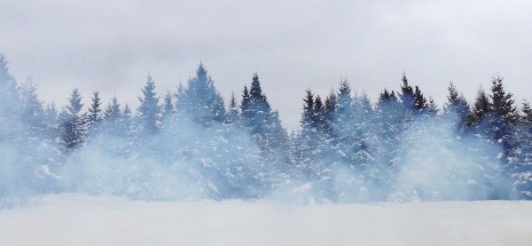 Froideur familliale.<em> Les enfants d&rsquo;Adam</em> d&rsquo;Audur Ava Ólafsdóttir mis en lecture par Geneviève L. Blais
